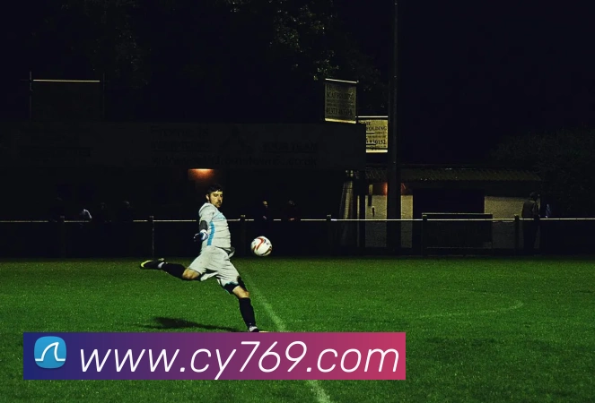 bsports官网注册入口平台生态图